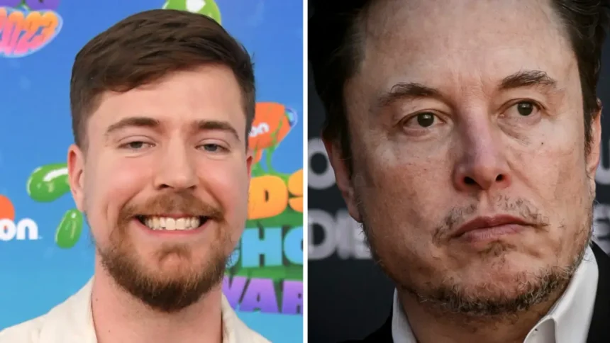 YouTube Star MrBeast Rejects Elon Musk's X Pitch with Blunt Response